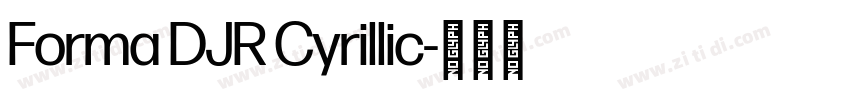 Forma DJR Cyrillic字体转换 Forma DJR Cyrillic字体转换